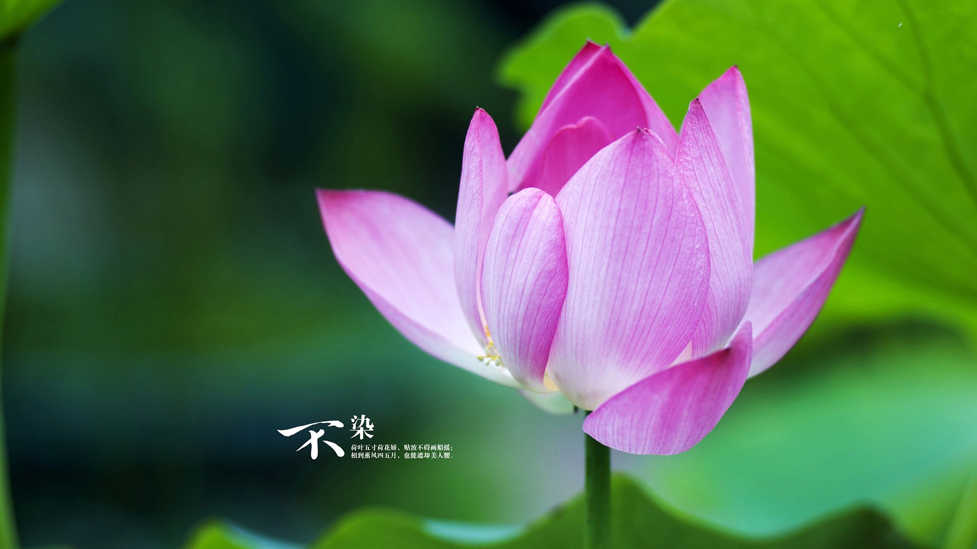_水上漂流骑行：探险者的新宠_，水上漂流怎么玩