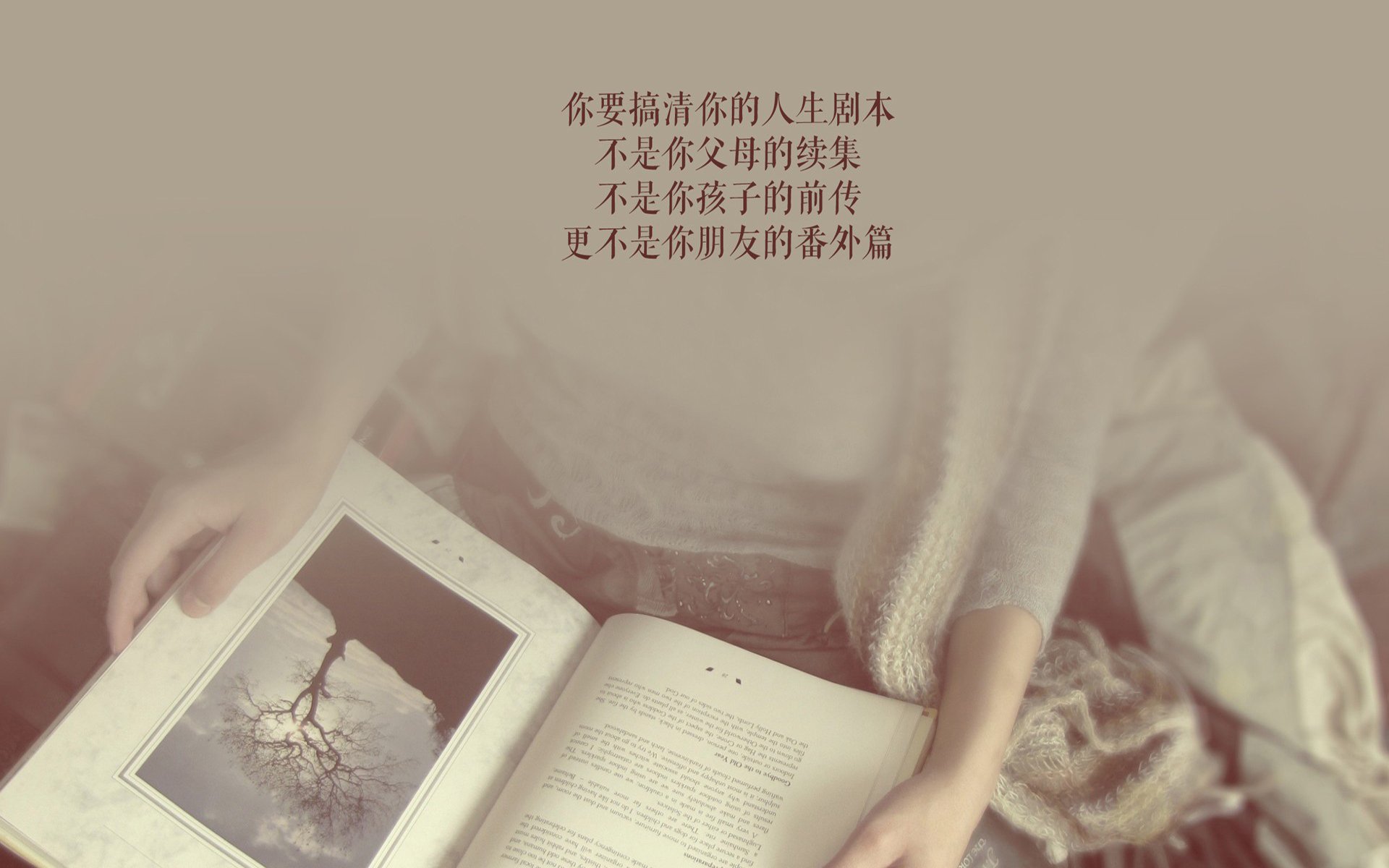 乐鱼体育平台官网-比利时马术协会与亚洲马术协会建立合作关系，推动区域发展。，比利时的马