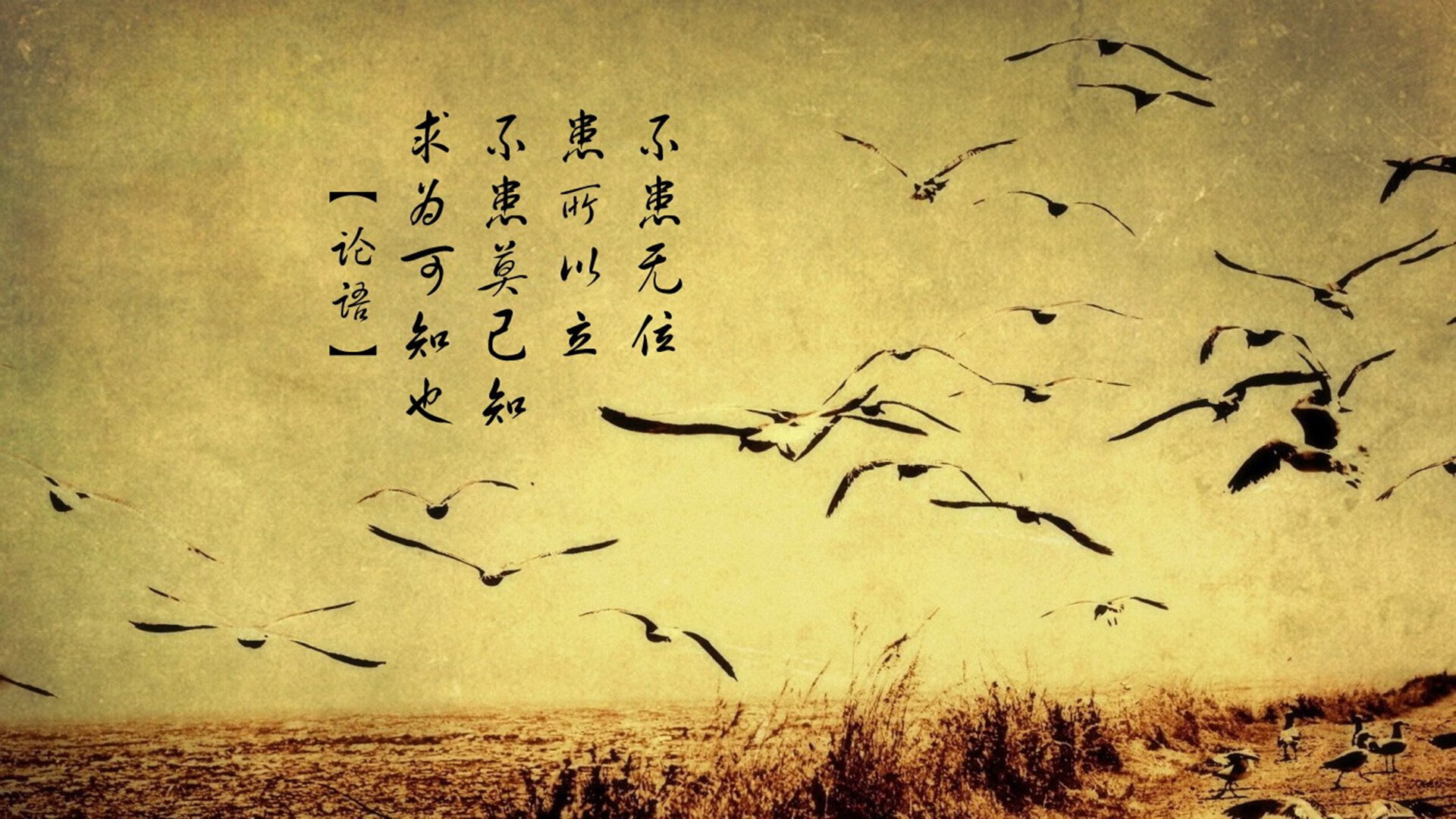 乐鱼体育(中国)官方网站-绿色能源技术推广，F1领跑，推动绿色能源
