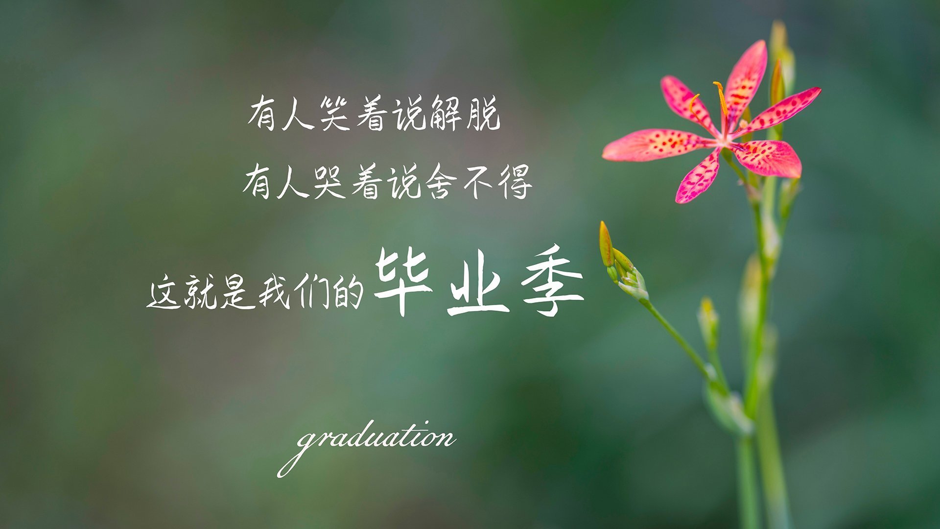 高校运动训练科学管理模式创新实践，运动训练科研管理工作要求