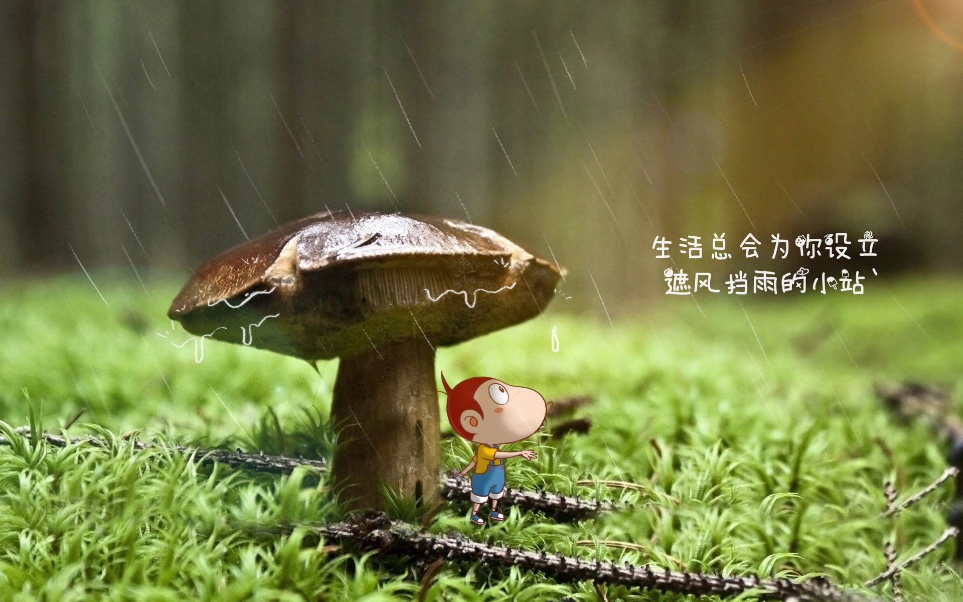乐鱼体育APP官方下载-奥预赛中国足球战败 球迷分析比赛失误，中国足球比赛怎么样了