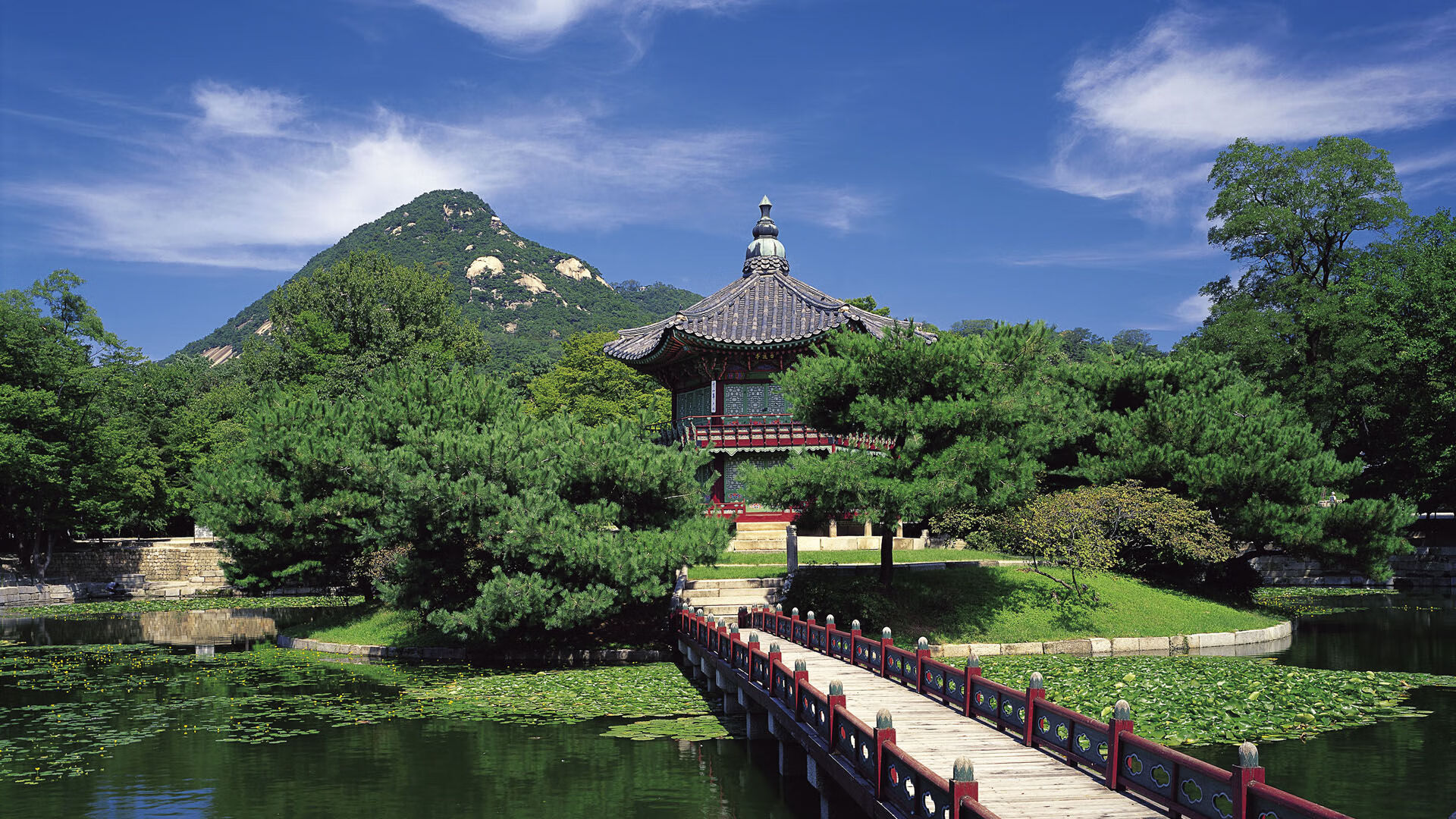 乐鱼（LEYU）体育-希腊女篮在欧洲锦标赛中再夺金，传统篮球强国继续前行，希腊女球迷