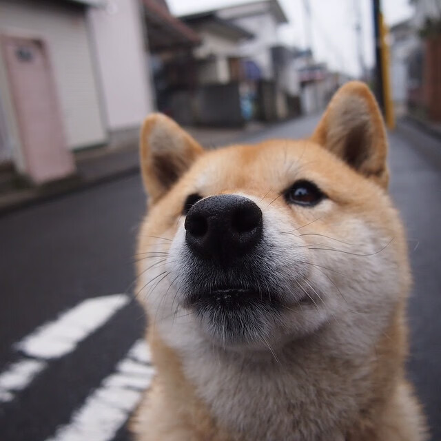 阿根廷年轻球员崭露头角,国家队前途光明