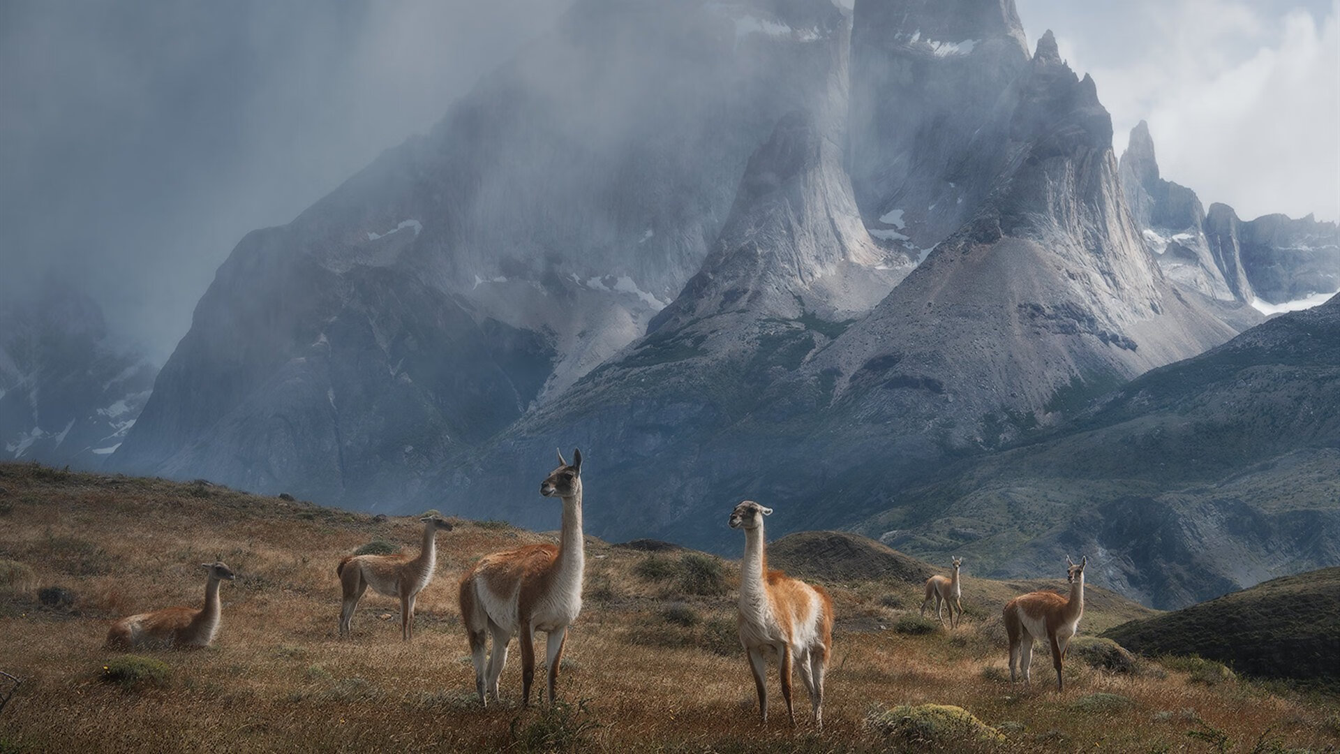 乐鱼官网-陈艺文稳定发挥晋级决赛，陈艺文没参加三米板奥运
