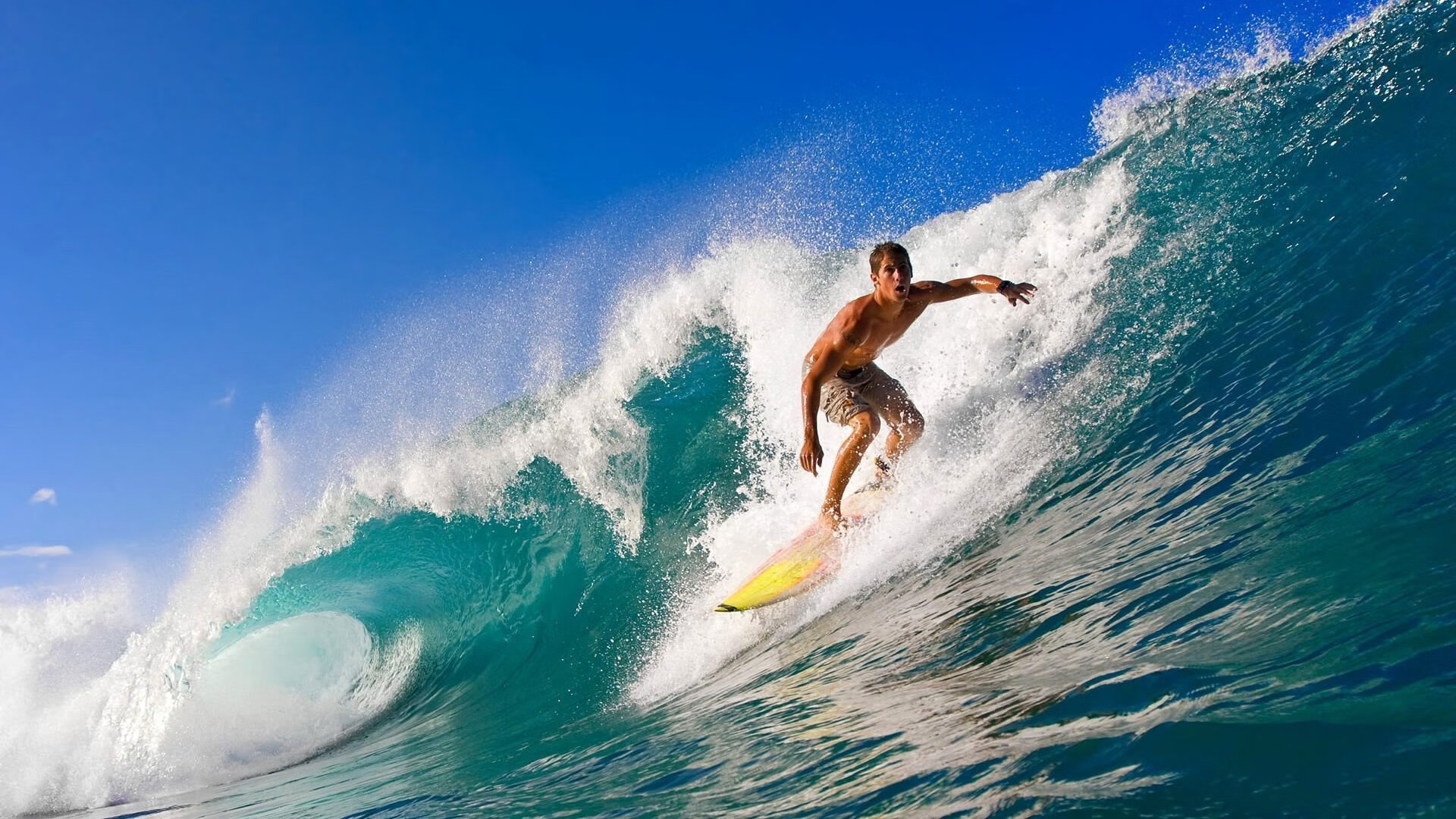 乐鱼体育官网-“裁判幕后：鲜为人知的判罚细节”，裁判的话